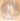 49_GuideF19_PLLens.jpg (10942 bytes)