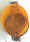 71_Guide10_Vega_PLAssy.JPG (70271 bytes)