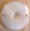 DODBO_DodgeTrk_Used_BULens.jpg (24748 bytes)